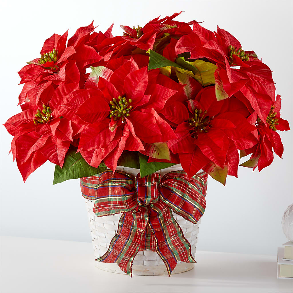 Happiest Holidays Poinsettia – Flowers By Marianne, Hampton Falls NH