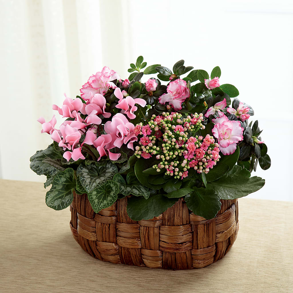 Pink Assortment – Flowers By Marianne, Hampton Falls NH