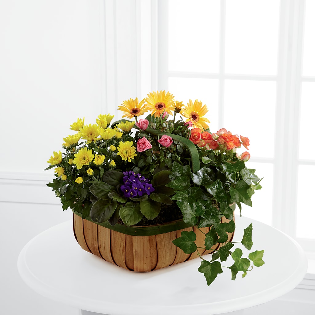 Gentle Blossoms Basket – Flowers By Marianne, Hampton Falls NH