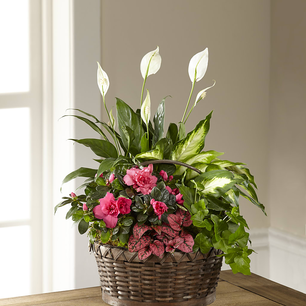 Dream in Pink Dishgarden – Flowers By Marianne, Hampton Falls NH