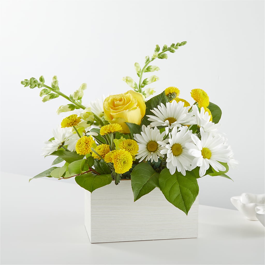 Sun Salutation Box Bouquet – Flowers By Marianne, Hampton Falls NH