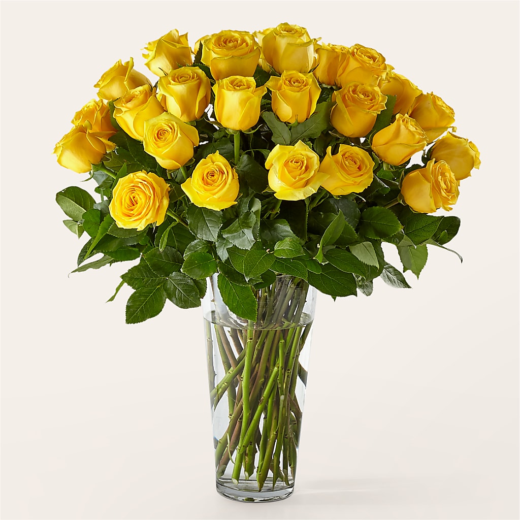 Long Stem Yellow Rose Bouquet – Flowers By Marianne, Hampton Falls NH