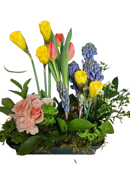 Spring Bulb Blossom Garden – Flowers By Marianne, Hampton Falls NH
