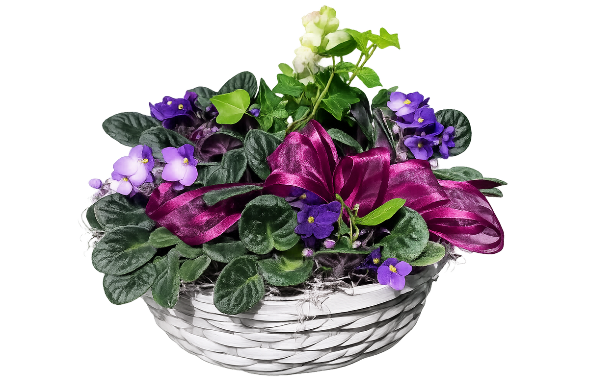 African Violet Basket – Flowers By Marianne, Hampton Falls NH