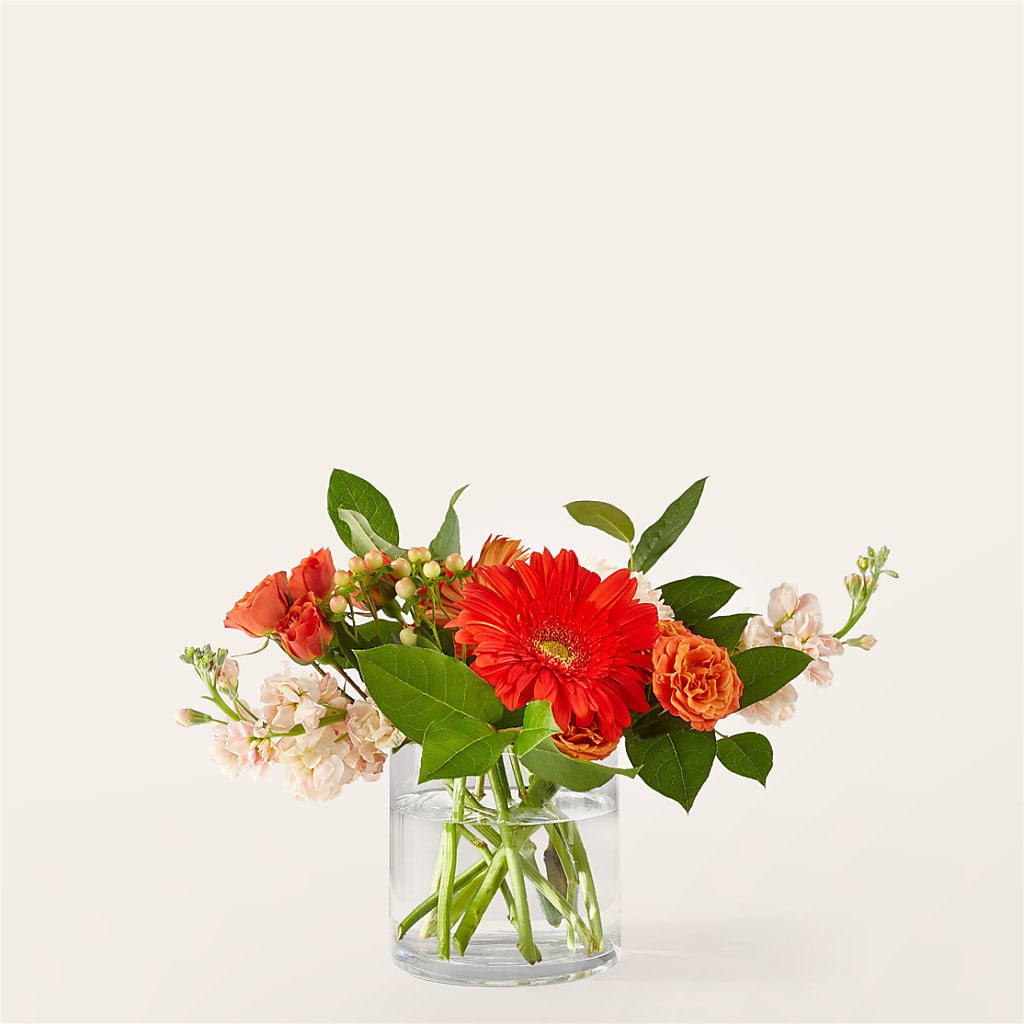 Paloma Please Bouquet – Flowers By Marianne, Hampton Falls NH