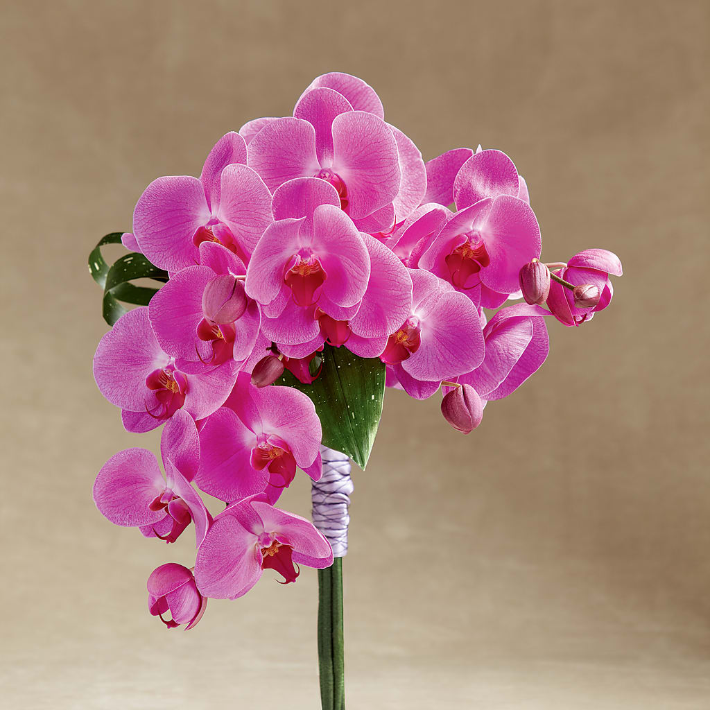 Glorious Bouquet – Flowers By Marianne, Hampton Falls NH