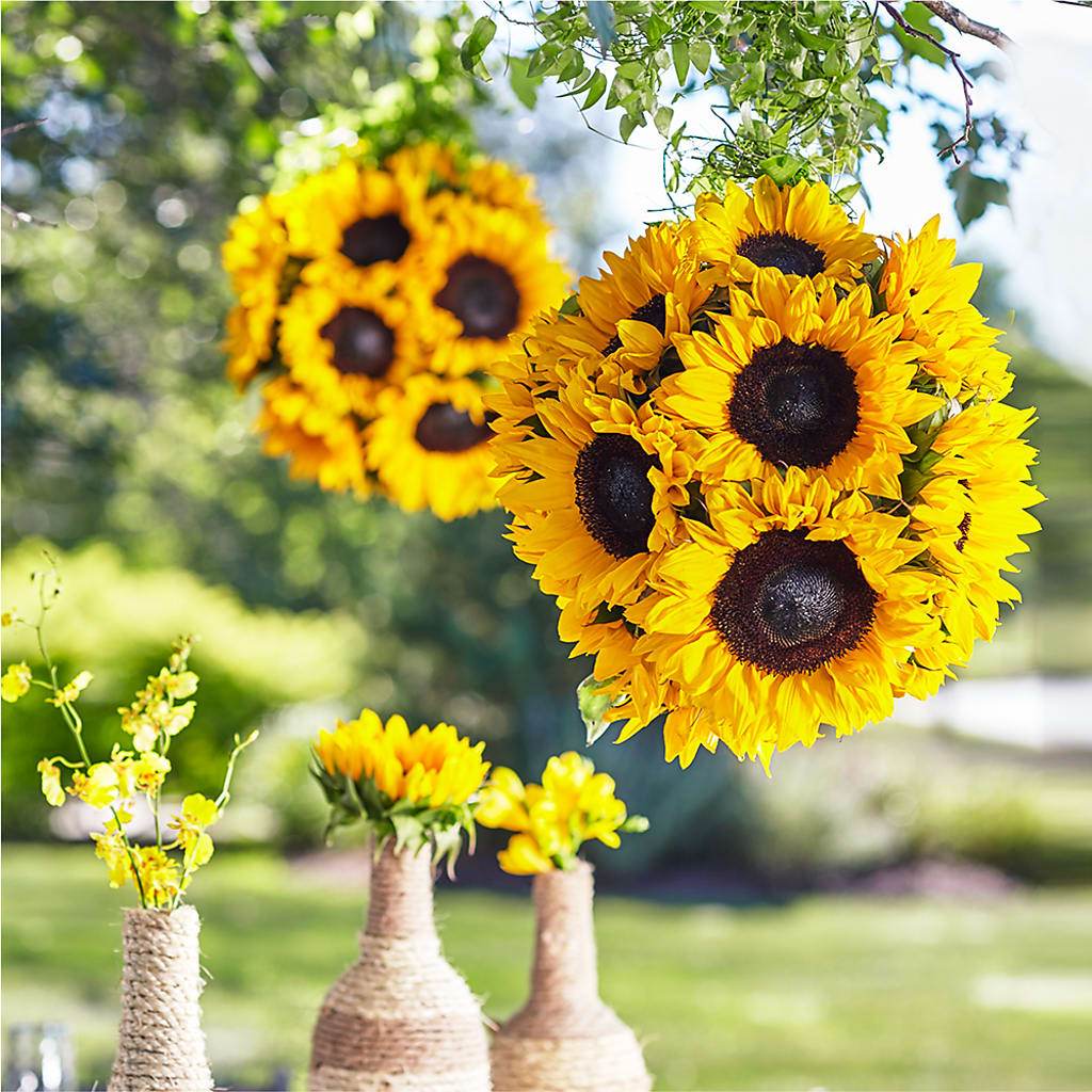Sublime Garden Hanging Arrangement – Flowers By Marianne, Hampton Falls NH