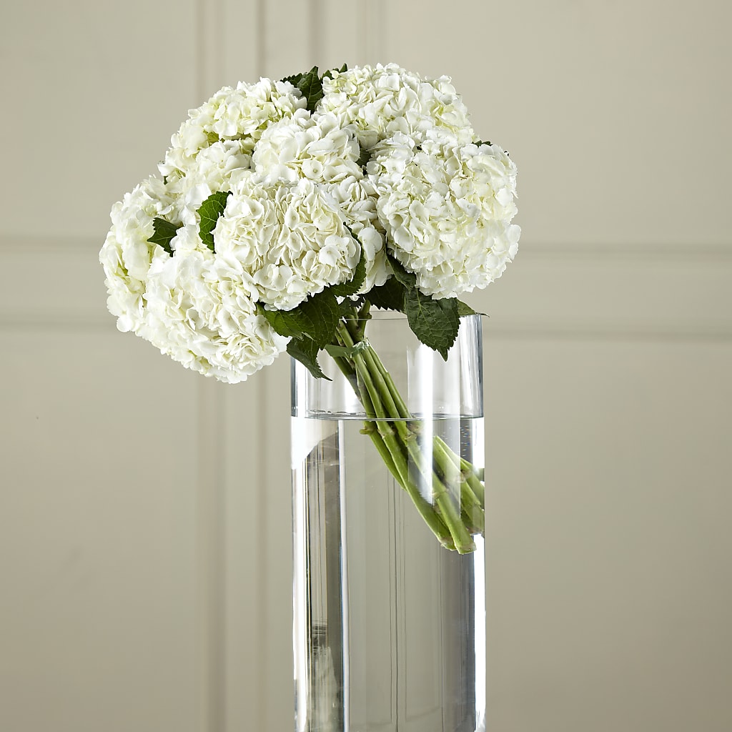 White Hydrangea Hand-Tied Bouquet – Flowers By Marianne, Hampton Falls NH
