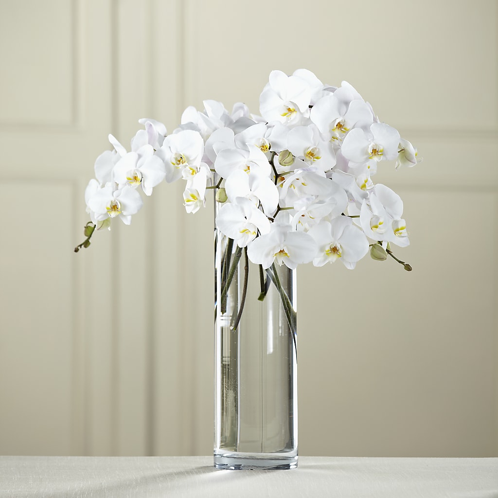 White Phalaenopsis Bouquet – Flowers By Marianne, Hampton Falls NH