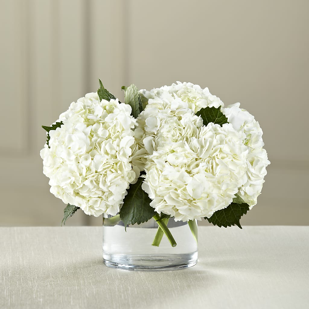 White Hydrangea Bouquet – Flowers By Marianne, Hampton Falls NH