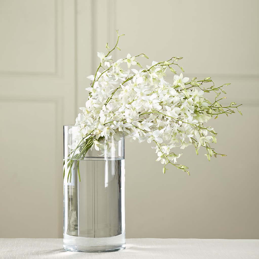 White Dendrobium Bouquet – Flowers By Marianne, Hampton Falls NH