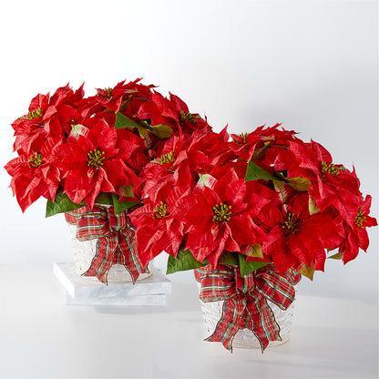 Happiest Holidays Poinsettia Bundle –  Flowers By Marianne, Hampton Falls NH
