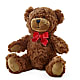 Adorable Plush Bear –  Flowers By Marianne, Hampton Falls NH