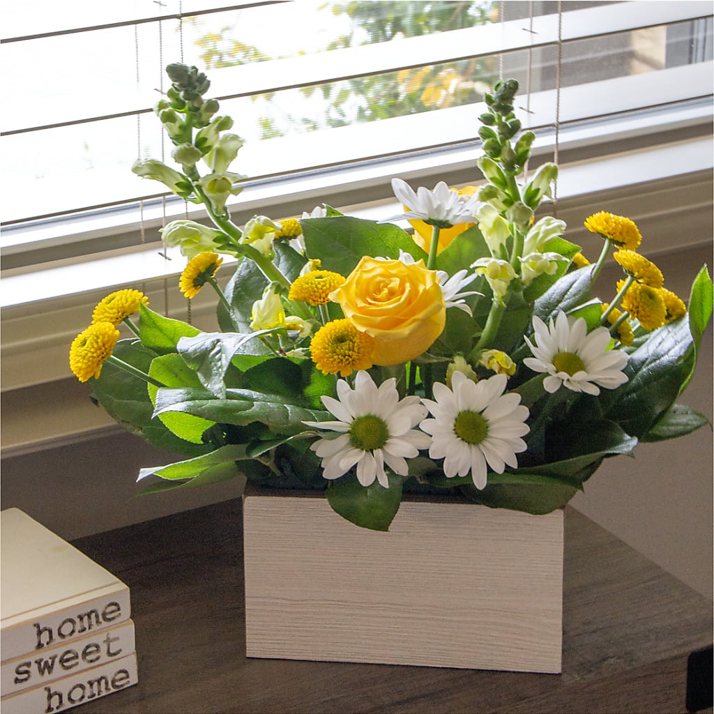 Sun Salutation Box Bouquet –  Flowers By Marianne, Hampton Falls NH