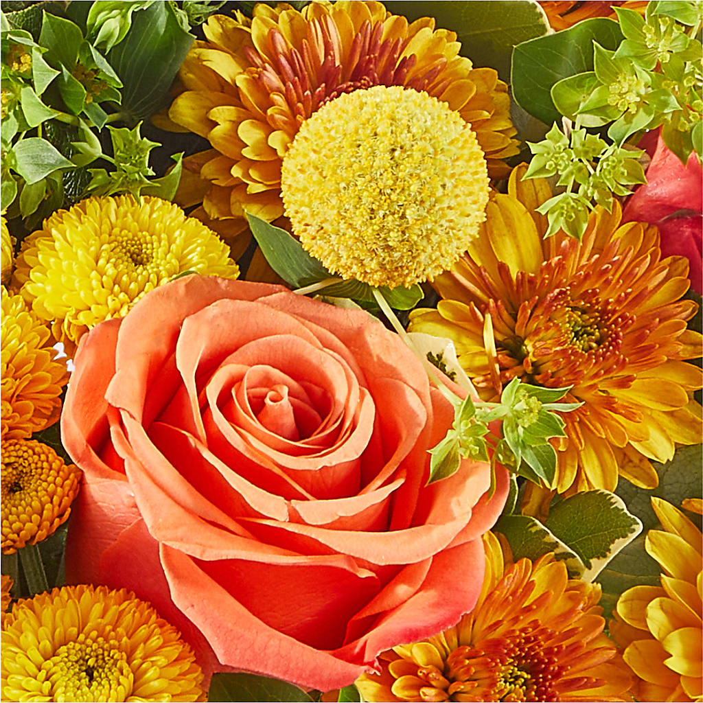 Gourdgeous Pumpkin –  Flowers By Marianne, Hampton Falls NH