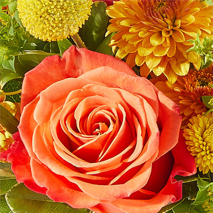 Gourdgeous Pumpkin –  Flowers By Marianne, Hampton Falls NH