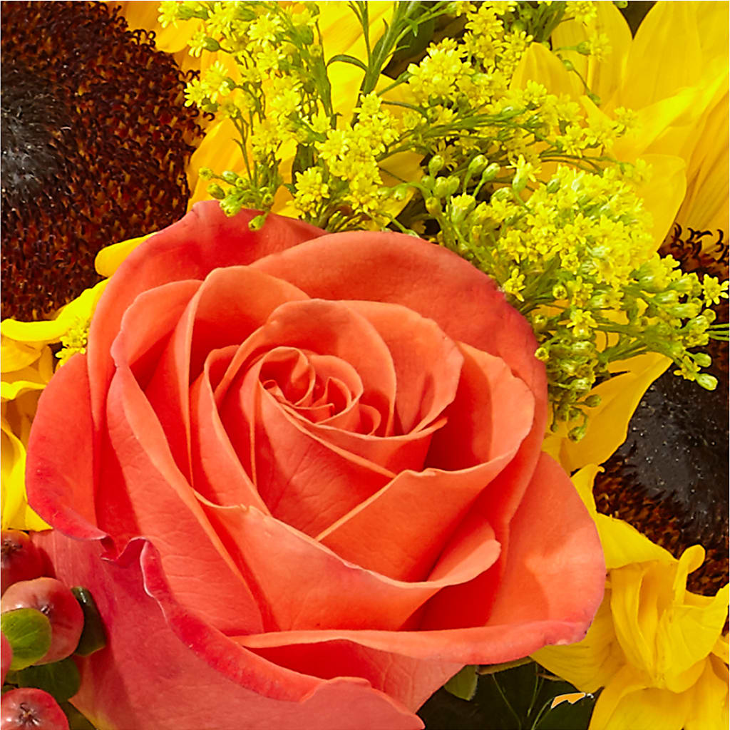 Pick of the Patch Pumpkin Bouquet –  Flowers By Marianne, Hampton Falls NH