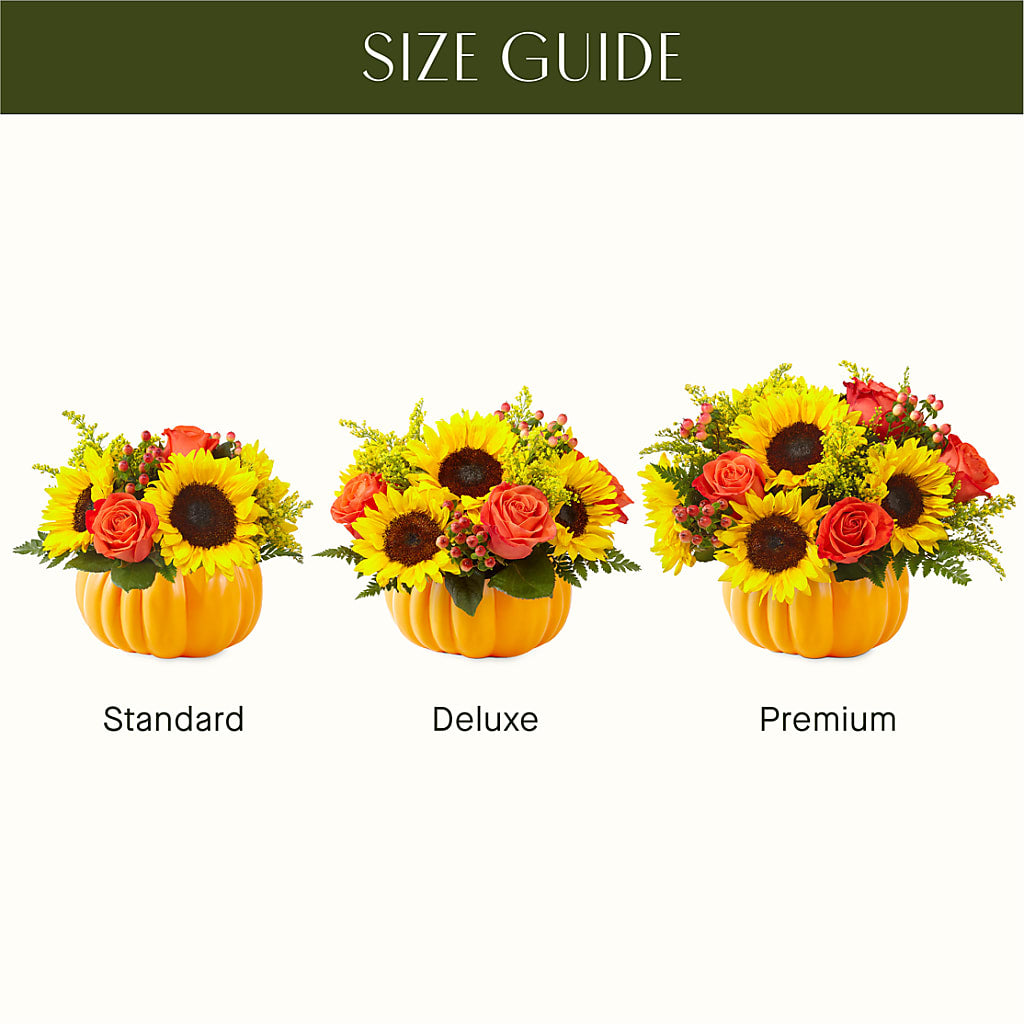 Pick of the Patch Pumpkin Bouquet –  Flowers By Marianne, Hampton Falls NH