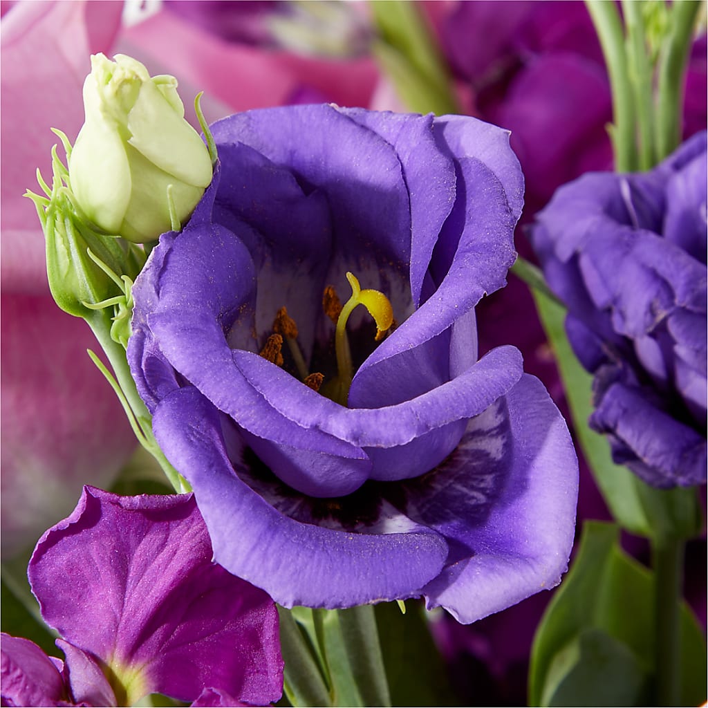 Twilight Glow Bouquet –  Flowers By Marianne, Hampton Falls NH