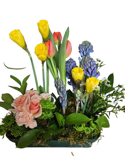 Spring Bulb Blossom Garden –  Flowers By Marianne, Hampton Falls NH
