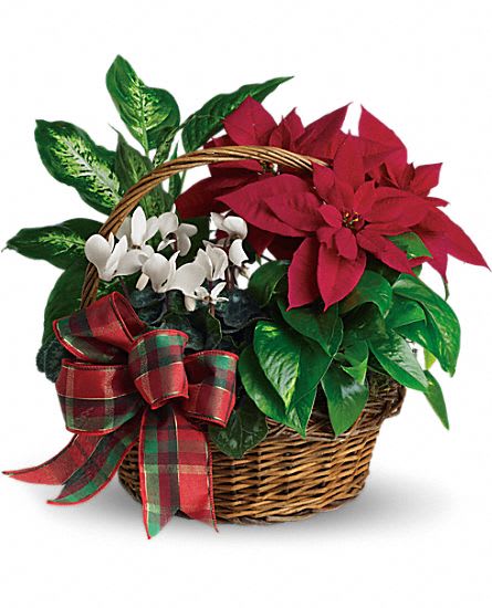 Holiday Plant Dish Garden Basket