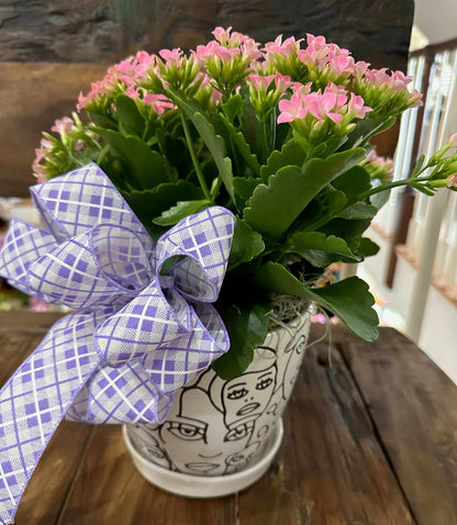 Expressions Of Love Kalanchoe Plant –  Flowers By Marianne, Hampton Falls NH