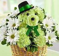 Green Carnation Flower Dog –  Flowers By Marianne, Hampton Falls NH