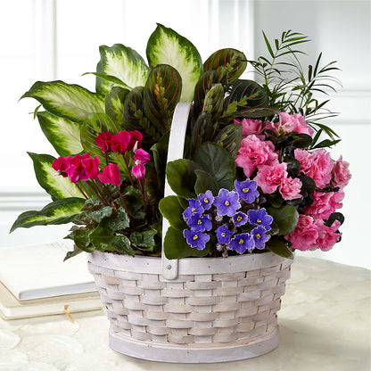 Peaceful Garden Planter –  Flowers By Marianne, Hampton Falls NH