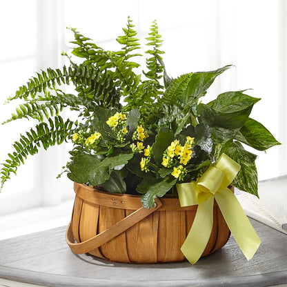 Always Dear Dishgarden –  Flowers By Marianne, Hampton Falls NH