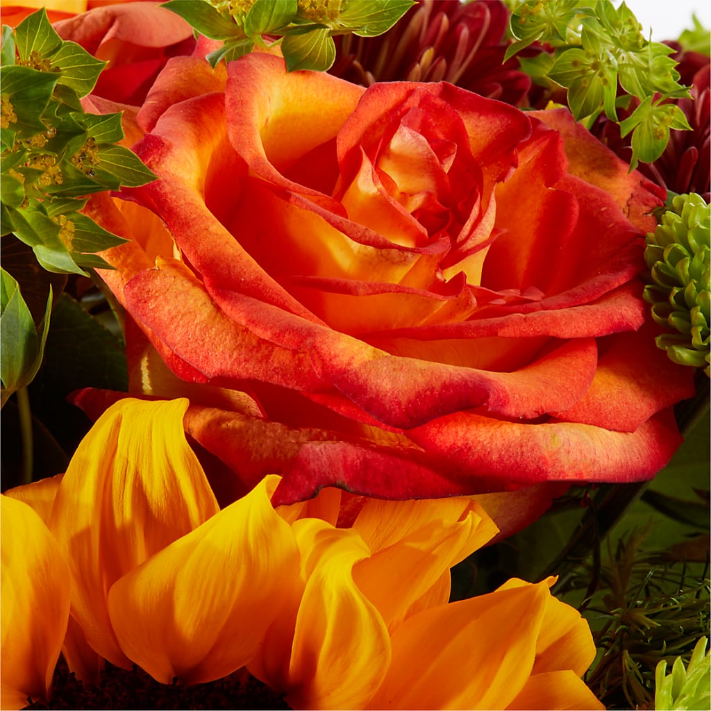 Harvest Festival Bouquet –  Flowers By Marianne, Hampton Falls NH