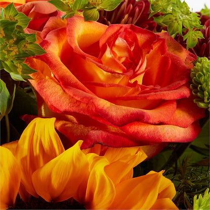 Harvest Festival Bouquet –  Flowers By Marianne, Hampton Falls NH