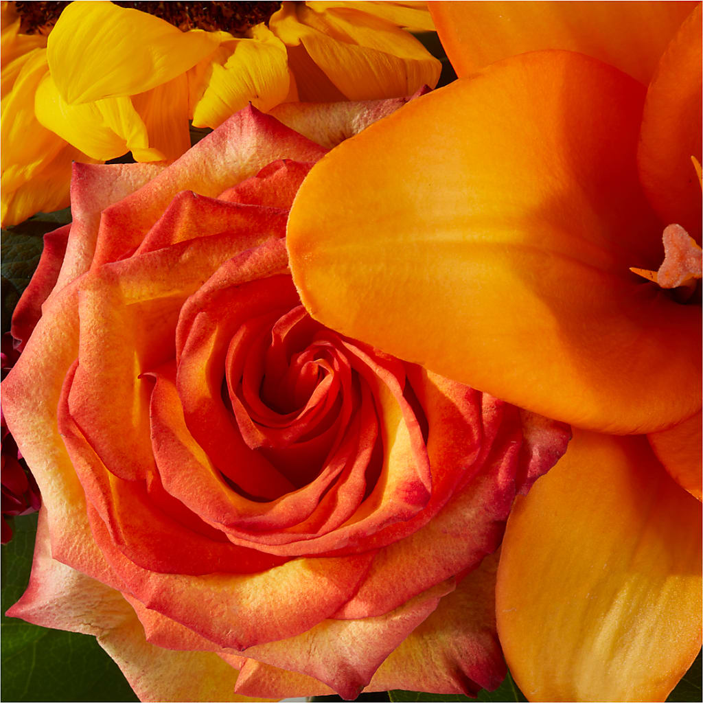Grateful Centerpiece –  Flowers By Marianne, Hampton Falls NH