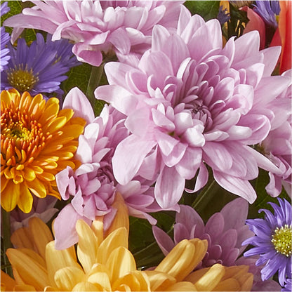 Countryside Bouquet –  Flowers By Marianne, Hampton Falls NH