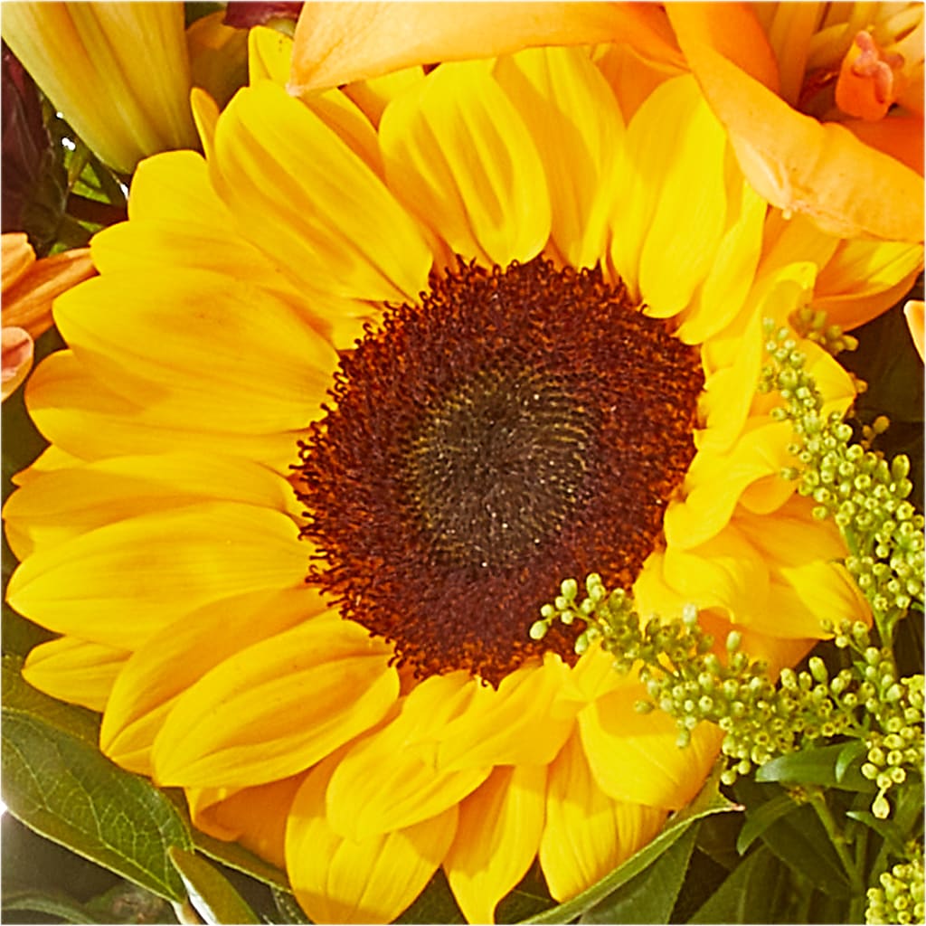 Seasons Change Bouquet –  Flowers By Marianne, Hampton Falls NH