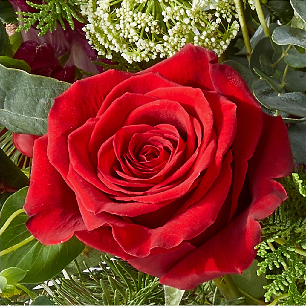 Cranberry Fizz Bouquet –  Flowers By Marianne, Hampton Falls NH