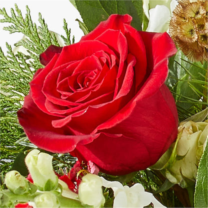 Deck the Halls Bouquet –  Flowers By Marianne, Hampton Falls NH