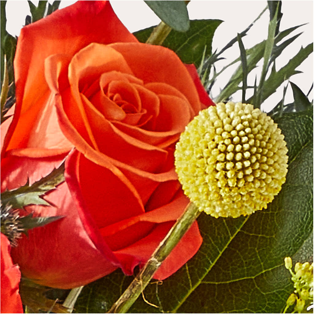 Disco Bouquet –  Flowers By Marianne, Hampton Falls NH