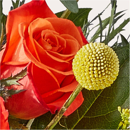 Disco Bouquet –  Flowers By Marianne, Hampton Falls NH