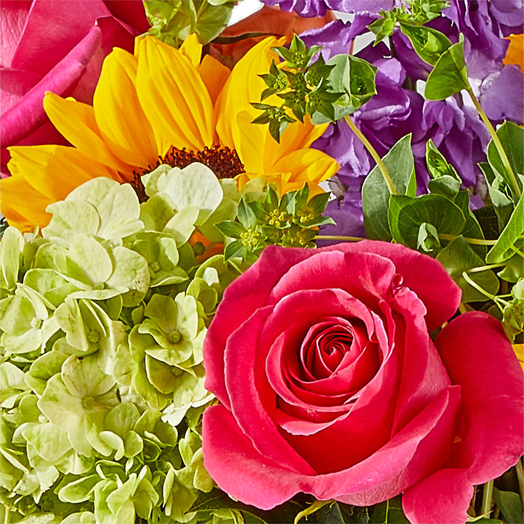 Vibrant Greetings Bouquet –  Flowers By Marianne, Hampton Falls NH