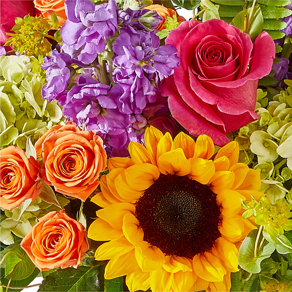 Vibrant Greetings Bouquet –  Flowers By Marianne, Hampton Falls NH