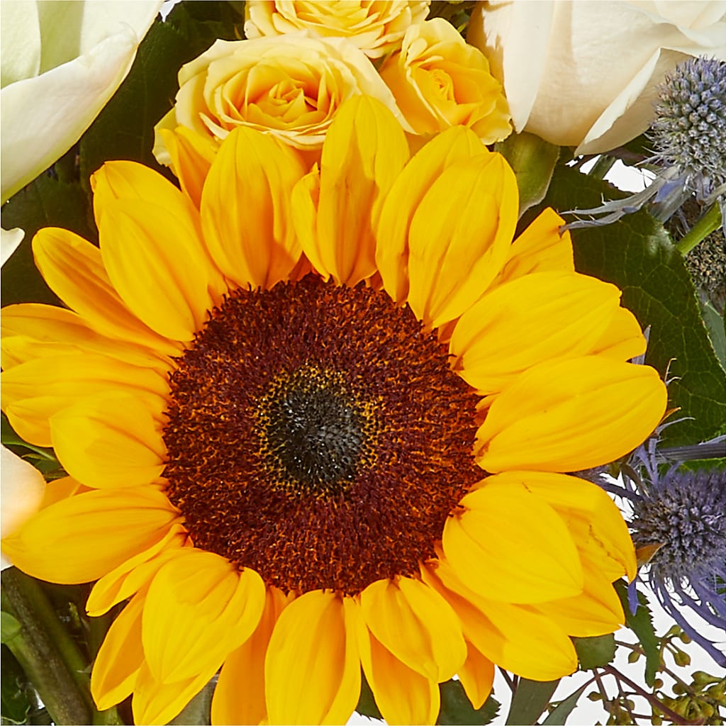 Wonderfully Sunny Bouquet –  Flowers By Marianne, Hampton Falls NH