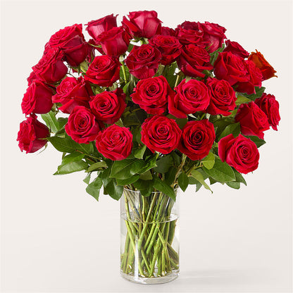 The One Red Rose Bouquet –  Flowers By Marianne, Hampton Falls NH
