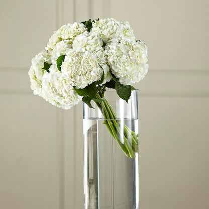 White Hydrangea Hand-Tied Bouquet –  Flowers By Marianne, Hampton Falls NH
