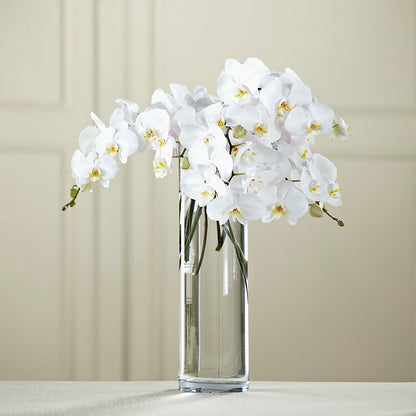 White Phalaenopsis Bouquet –  Flowers By Marianne, Hampton Falls NH