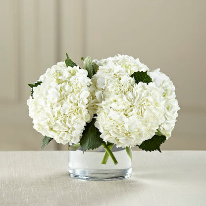 White Hydrangea Bouquet –  Flowers By Marianne, Hampton Falls NH